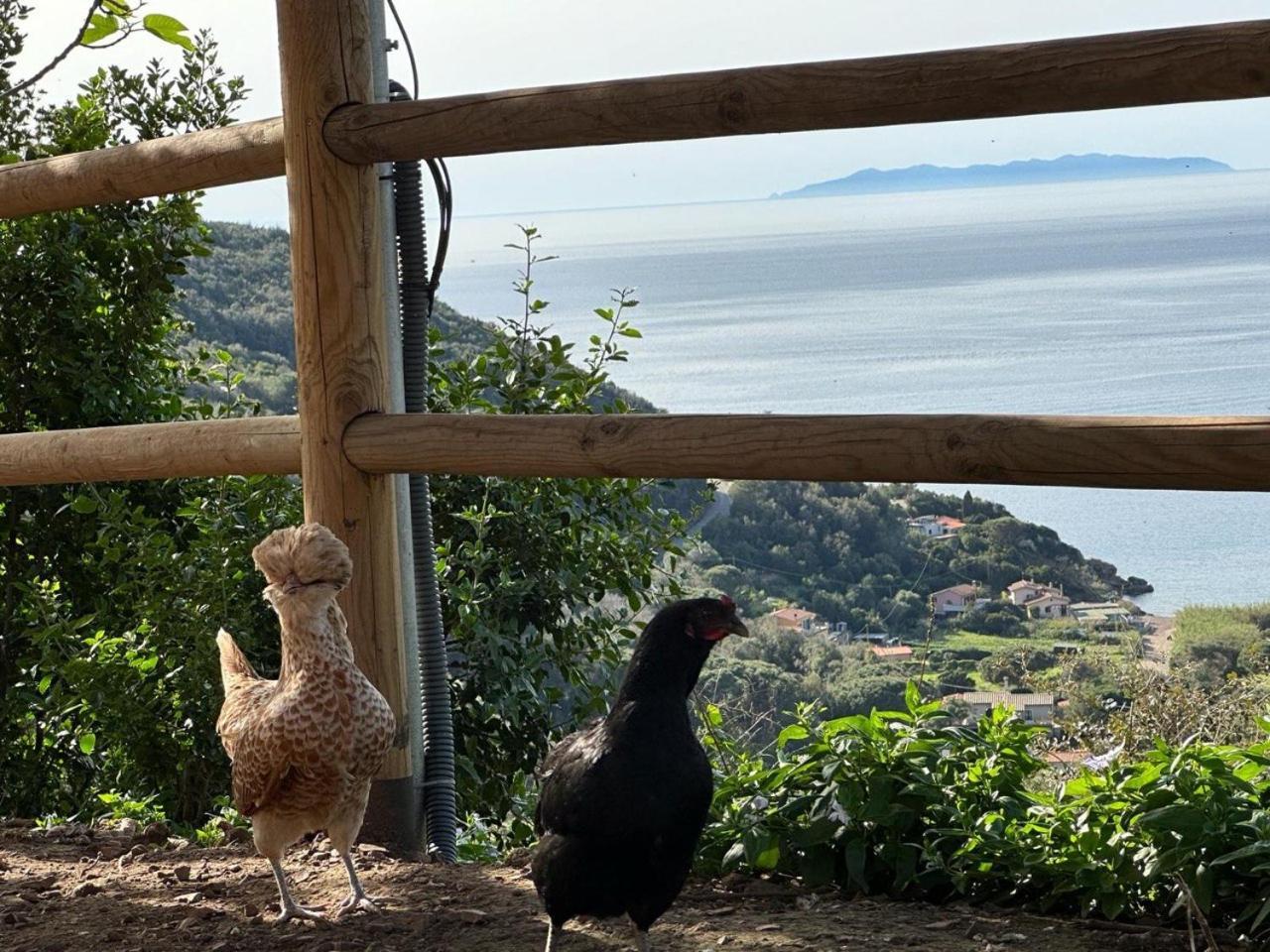Agriturismo Paradisa Rio nell'Elba Экстерьер фото