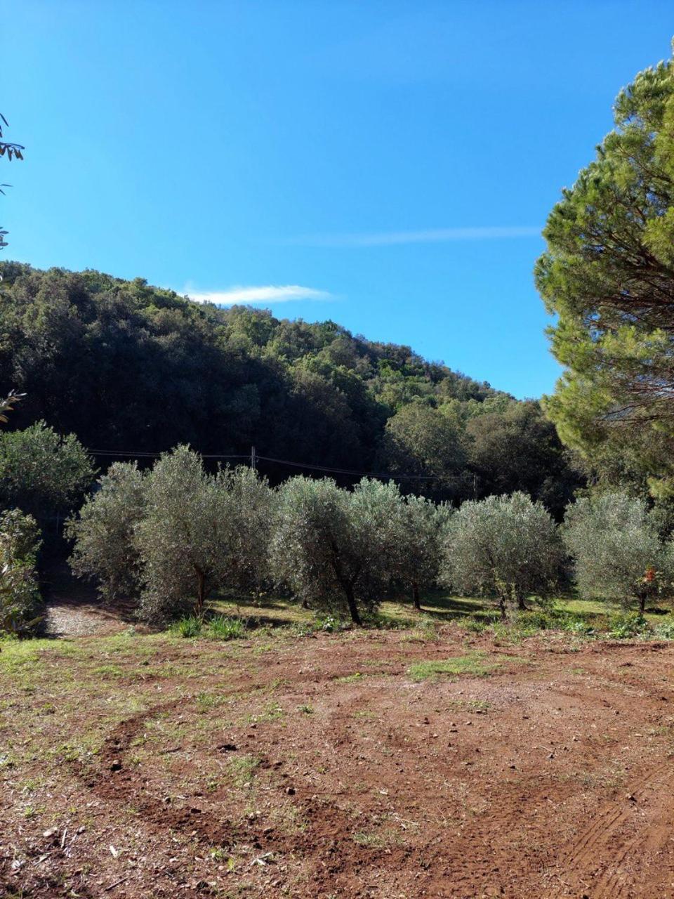 Agriturismo Paradisa Rio nell'Elba Экстерьер фото