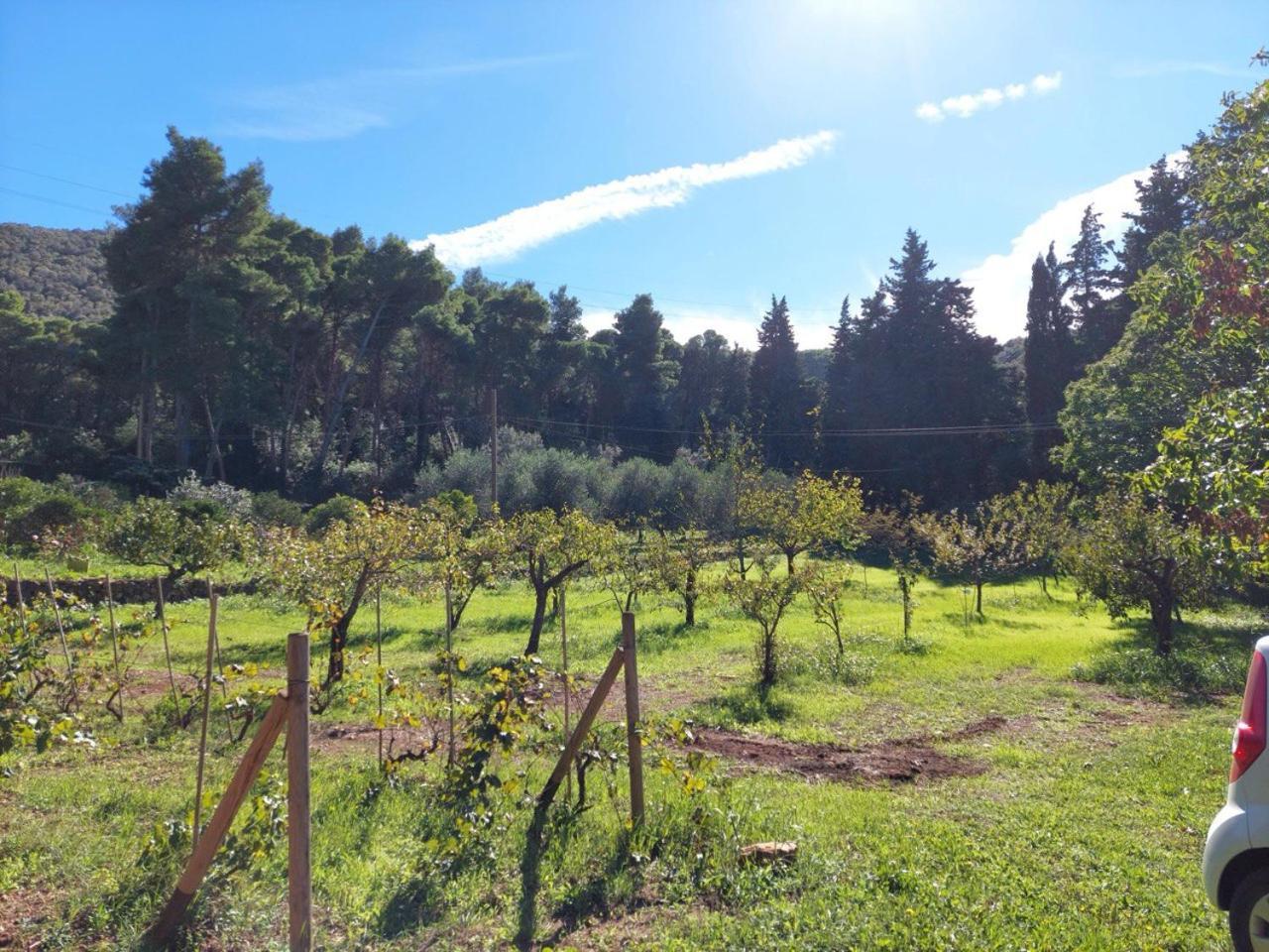 Agriturismo Paradisa Rio nell'Elba Экстерьер фото