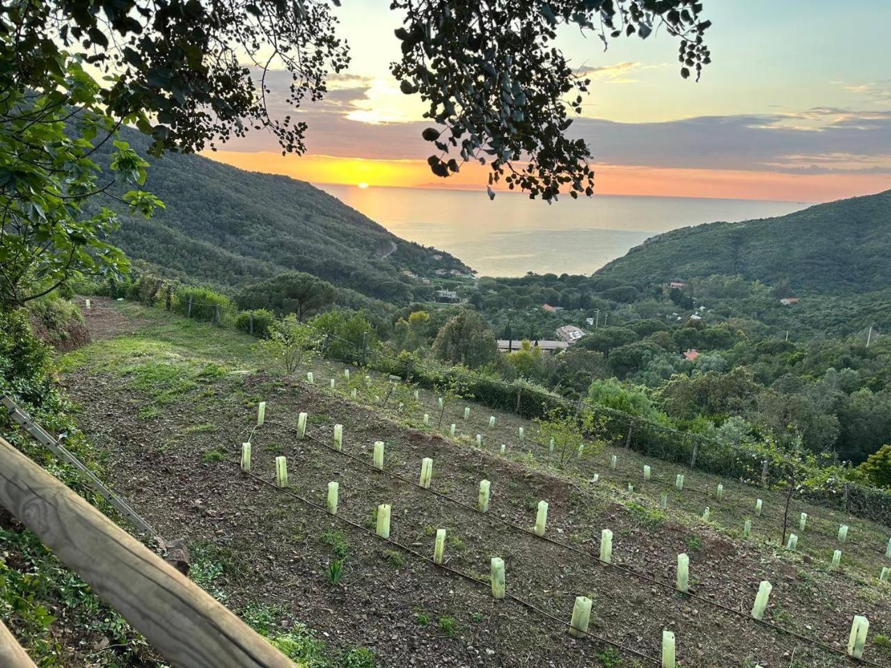 Agriturismo Paradisa Rio nell'Elba Экстерьер фото